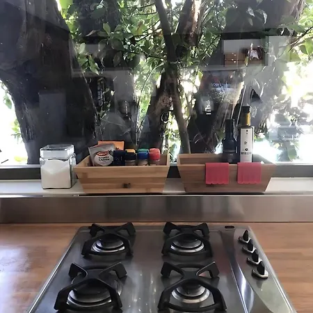 Ferienhaus Casa Da Granja